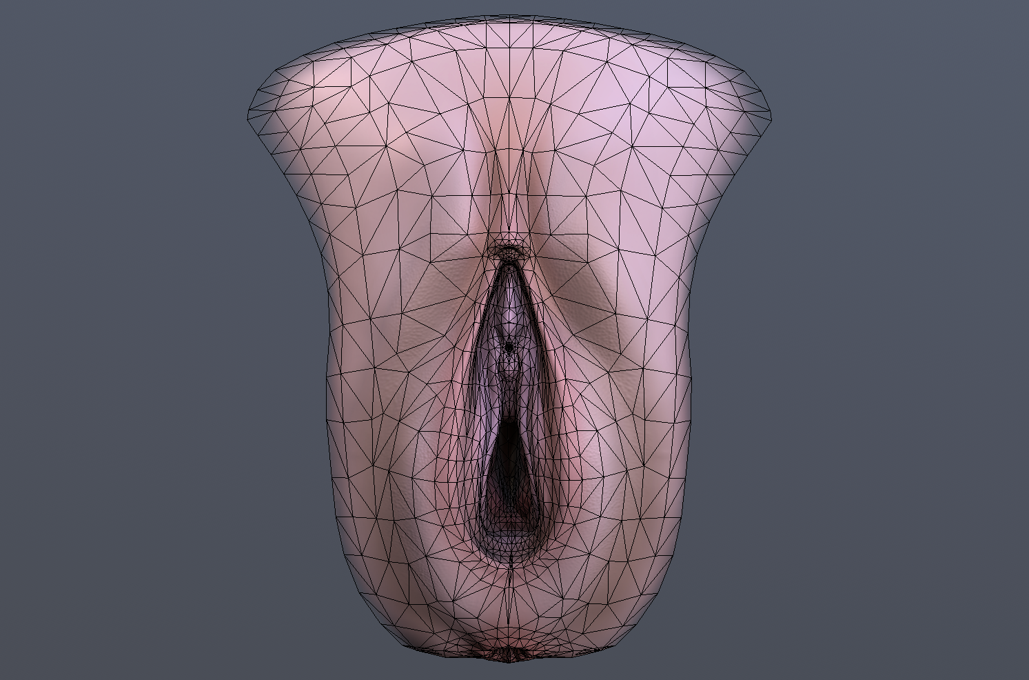Artificial Vagina 3d Models