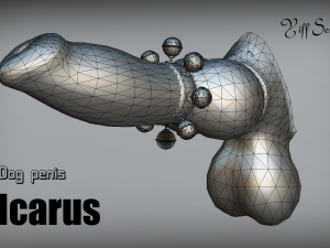 dog penis icarus Modèle 3D