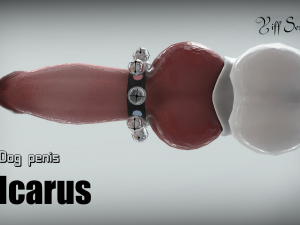 dog penis icarus Modèle 3D