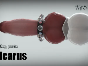 dog penis icarus 3D Model