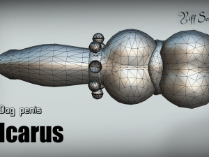 dog penis icarus Modèle 3D