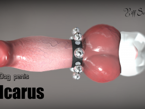 dog penis icarus Modèle 3D