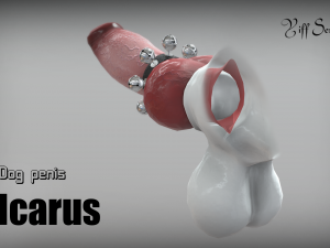 dog penis icarus Modèle 3D