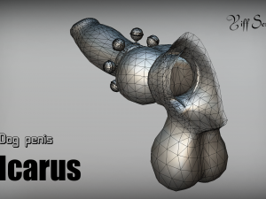 dog penis icarus Modèle 3D