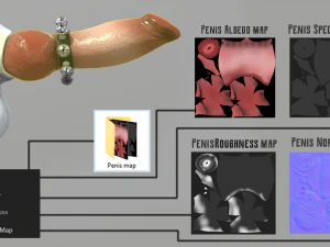 dog penis icarus 3D Model