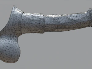 cavallo pene titano Modello 3D