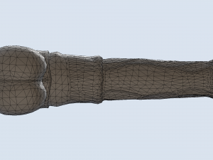 horse penis titan Model 3D