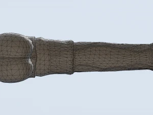 cavallo pene titano Modello 3D