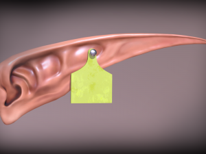 elven ear Modelo 3D