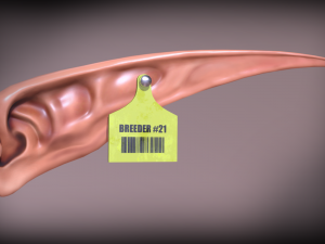 elven ear Modelo 3D