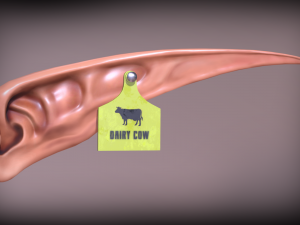 elven ear Modelo 3D