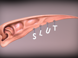 elven ear Modelo 3D