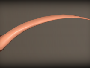 elven ear Modelo 3D