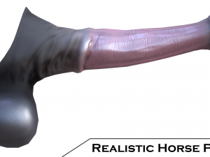 realistic horse penis 3D Model