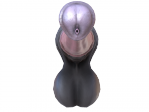 realistic horse penis 3D Model
