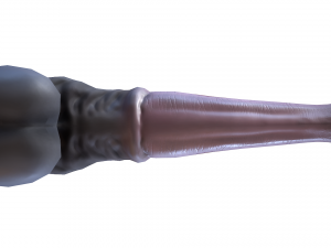realistic horse penis 3D Model