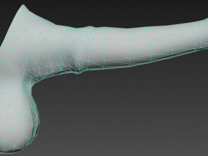 realistic horse penis 3D Model