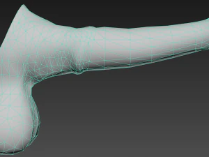 Realistic horse penis 3D Model