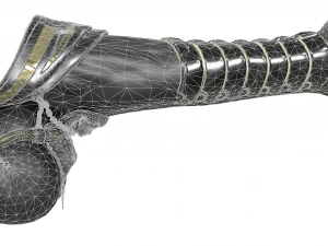 Horse penis set 3D Model