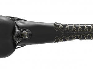 Horse penis set Modello 3D