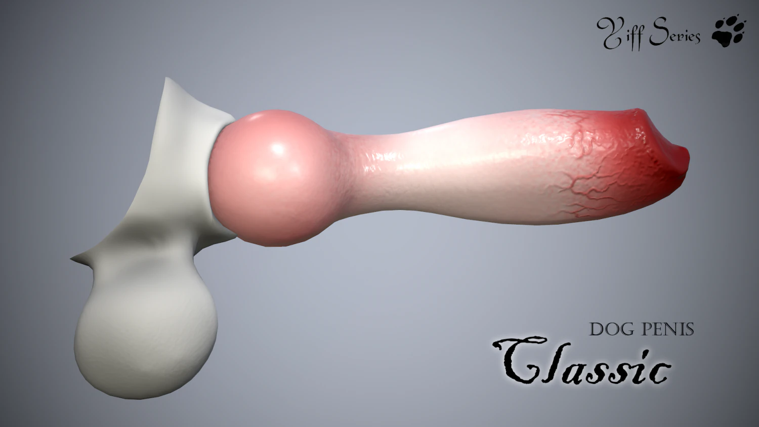 dog penis classic 3D Model .c4d .max .obj .3ds .fbx .stl .blend 