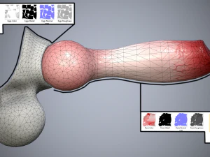 dog penis classic 3D Model