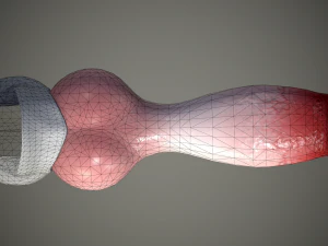 dog penis classic 3D Model