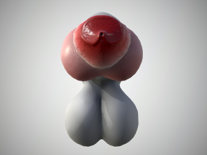 dog penis classic 3D 모델