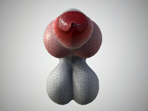 dog penis classic 3D 모델