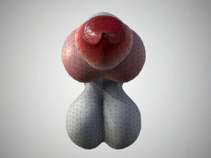 dog penis classic 3D Model