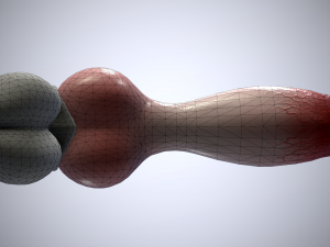 dog penis classic 3D 모델