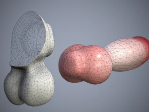 dog penis classic 3D Model