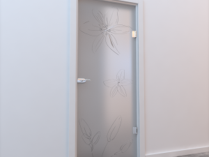 glass door standart 005 Modèle 3D