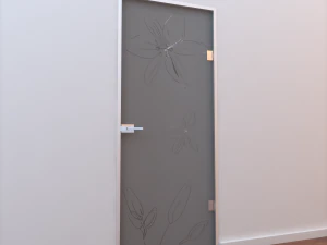 glass door z 005 3D Model