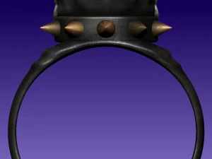 ring rottweiler 3D Print Model