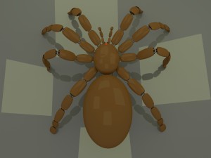 spider Model 3D