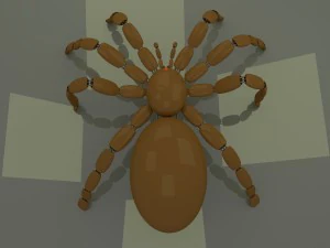 spider 3D Model