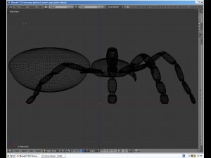 spider Model 3D