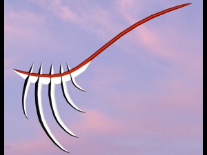 kossword 3D-Modell