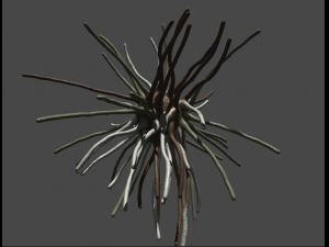 bacteria Modelo 3D