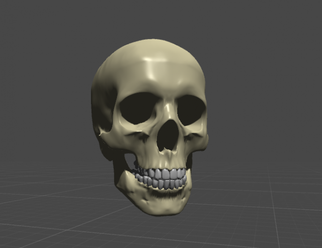 skul 3D Model .c4d .max .obj .3ds .fbx .stl .blend 