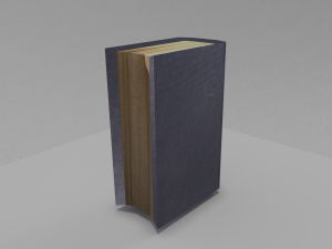book 3 psychology Modello 3D
