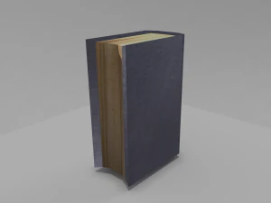book 3 psychology 3D Model