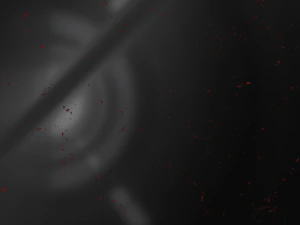 ペイントの斑点 CG テクスチャ