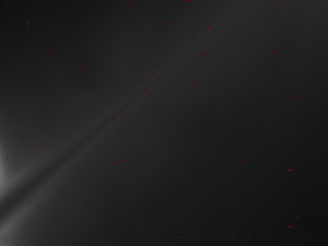 Paint specks CG Текстури