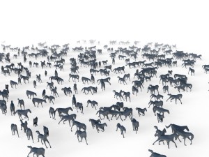 low poly horses pack Model 3D