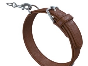 dog collar 3D Model