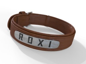 dog collar 3D Model