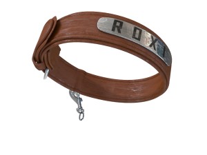 dog collar 3D Model
