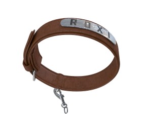 dog collar 3D Model